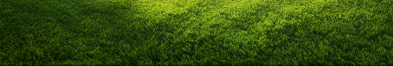 Grass Banner